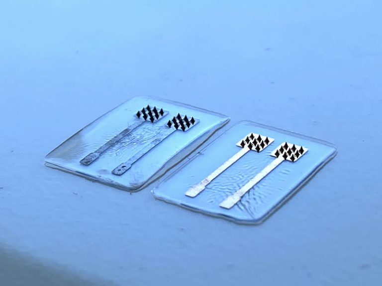 Wide-Biomarker-Spectrum Multi-Use Sensing Patch